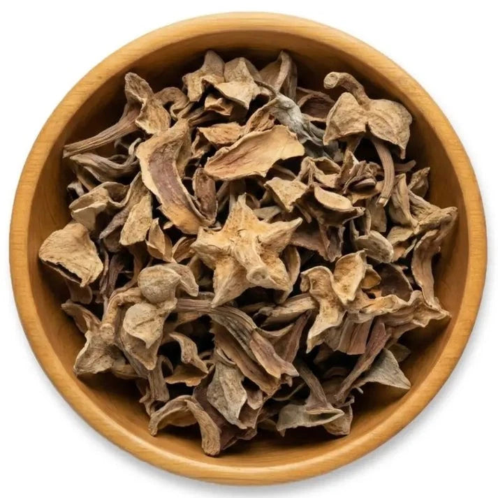 Flor de Manita | Chiranthodendron pentadactylon | Herbal Flower | NY Herb Shop Flowering Plants
