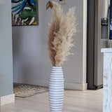 6 Large Pampas Grass Dried - Naturally Pressed Flowers for The Living Room,... Pampas Grass