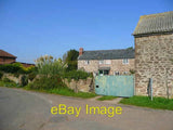 Photo 6x4 Little Strangford Farm cottages with a fine pampas grass in the c2008 Pampas Grass