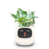 Home Garden Planter Creative Interactive Mini Smart Garden Indoor Smart Planter Garden Plants