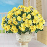 Set of 3 Beautiful Yellow Daisy Vase Urn Filler Picks Bushes Spring Summer Decor Daisies