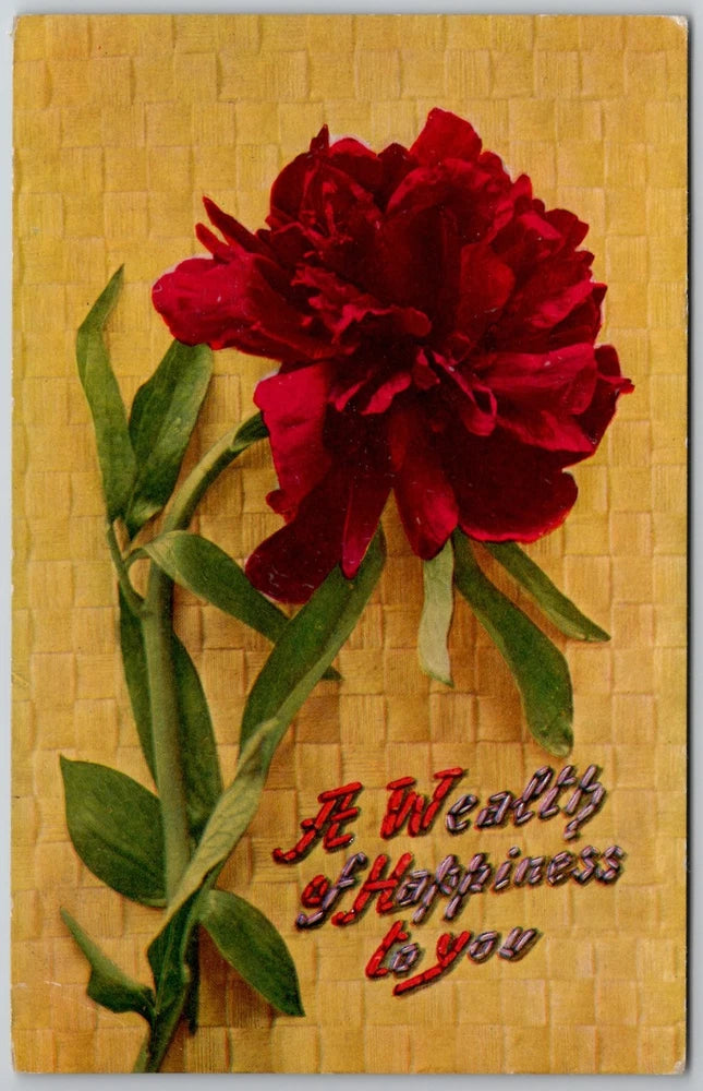 Vintage Embossed Peony Flower Postcard "A Wealth of Happiness" Niagara Falls NY Peony