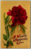 Vintage Embossed Peony Flower Postcard "A Wealth of Happiness" Niagara Falls NY Peony