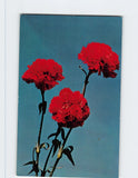 Postcard State Flower Scarlet Carnation Carnation