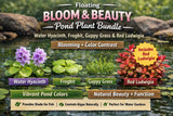 Floating Bloom & Beauty Pond Plant Bundle 3x Water Hyacinth, Frogbit Guppy Grass Flowering Plants