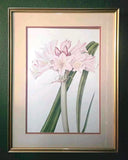 BOTANICAL Vintage Print Lilies by William Hooker from the MET Museum NY Lily