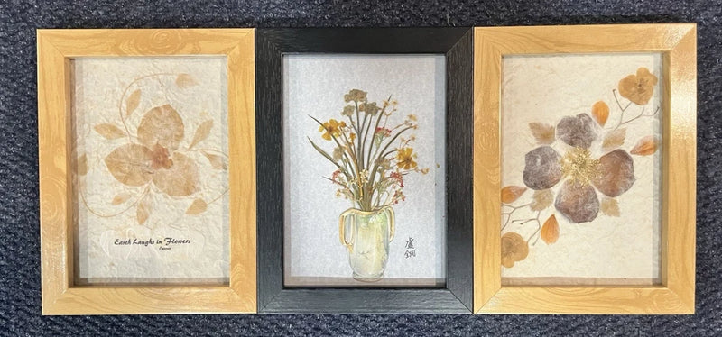 Set of 3 framed dried flower art prints with gold-toned frames