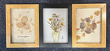 Pressed Dried Flower Art Framed Lot Handmade Set Of 3 Dried Flower