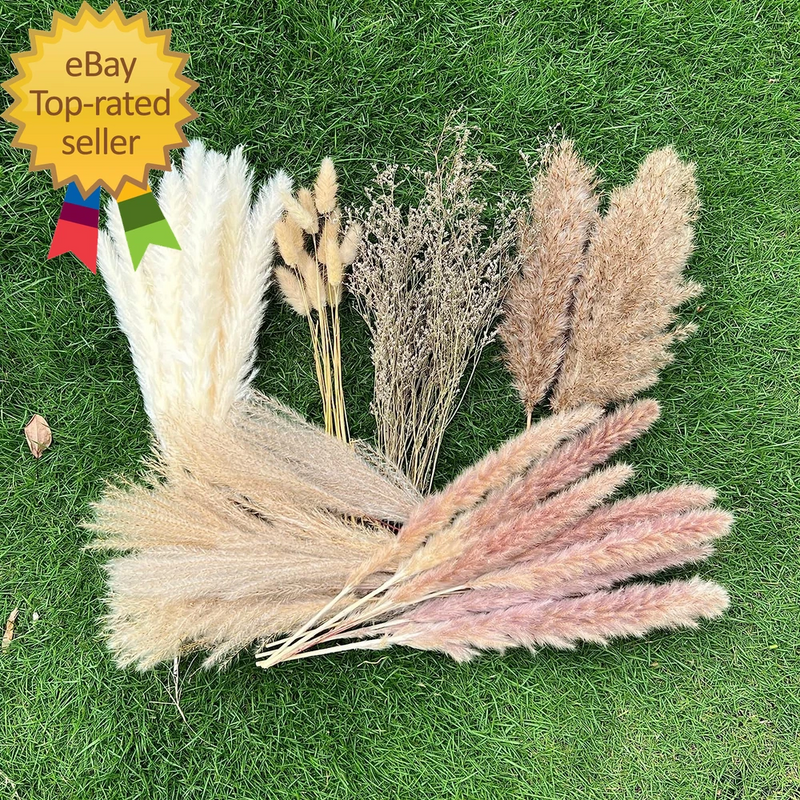 100Pcs Pampas Grass Boho Home Decor 17 Inch Natural Dried Flowers-Pampas Dried Flower