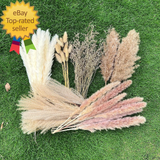 100Pcs Pampas Grass Boho Home Decor 17 Inch Natural Dried Flowers-Pampas Dried Flower