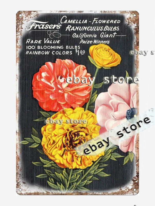 1930-45 Frasier's Camellia - Flowered Ranunculus Bulbs California tin sign Ranunculus