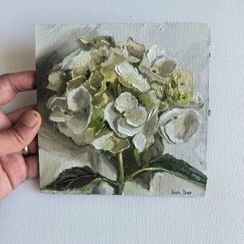 White hydrangea flower painting 6x6 in- oil on ampersand board Hydrangea