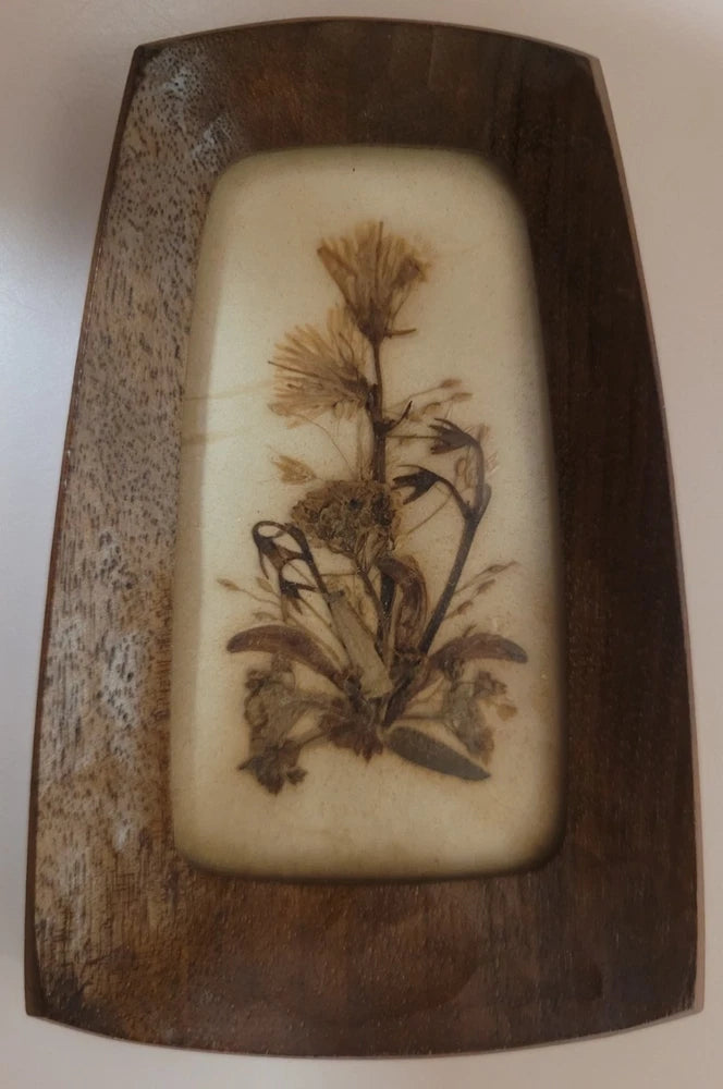 Reichlin Switzerland Miniature Pressed Dried Flowers Wall Art Swiss Herbier Art Dried Flower