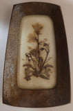 Reichlin Switzerland Miniature Pressed Dried Flowers Wall Art Swiss Herbier Art Dried Flower