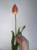 Winward Peach Tulip 23Ó Faux Florals NEW Ranunculus