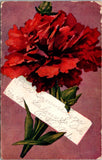 Vintage Postcard Salem South Dakota Red Carnation Flower Carnation