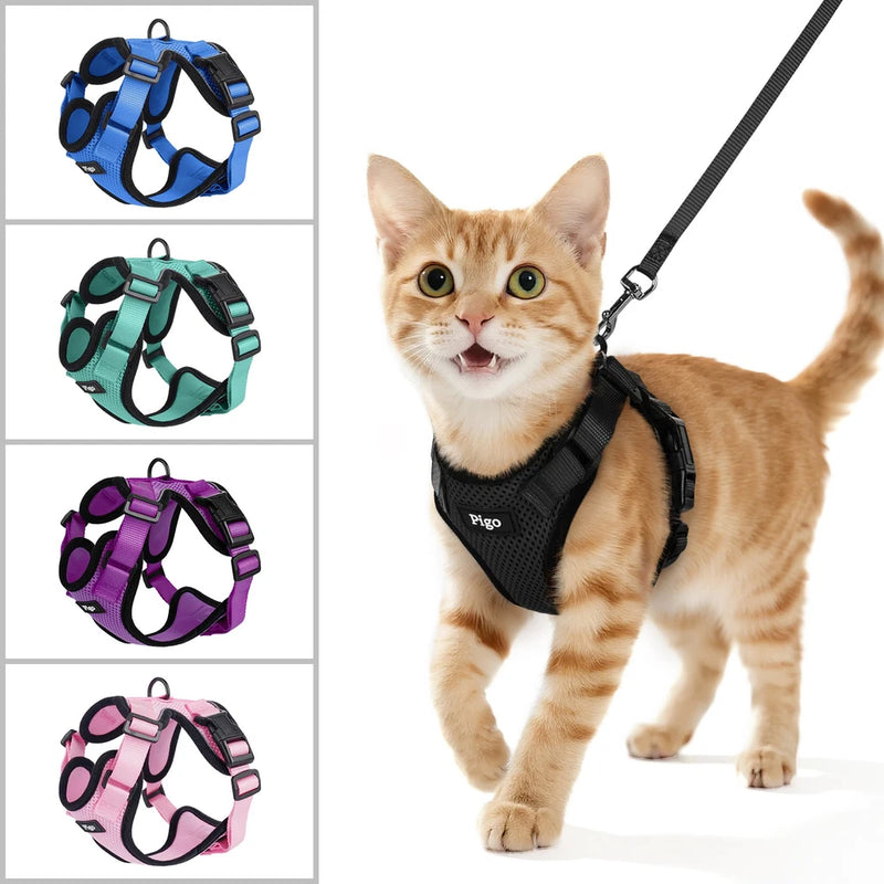Adjustable escape-proof cat harness with leash clip, black mesh, on tabby cat