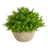 Nearly Natural 5" Boxwood Artificial Plant in Decorative Planter in Green/Beige Green Plant