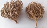 Rose of Jericho MaryamÕs Flower 50g - Anastatica hierochuntica ____ __ ____ Flowering Plants