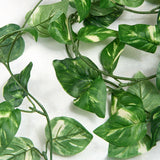 Set of 4 Variegated Poly Silk Artificial Caladium Vine Garlands, 72" Long, each Green Plant