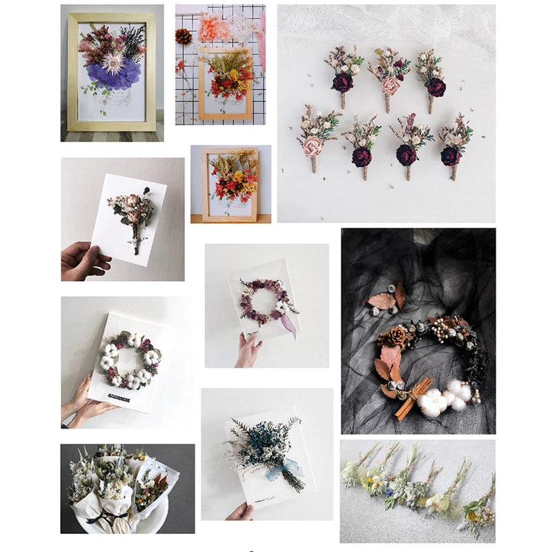 Assorted dried flower craft decor, mixed colors for DIY art and floral arrangements