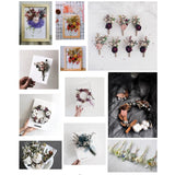 Assorted Dried Flowers Crafts Decor DIY Supplies Easy To Use Dried Flower