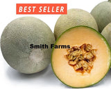10+ Seeds Thai Muskmelon Melon Cantaloupe Easy Vegetable Garden Planting Edible Garden Plants