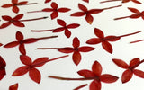 24 pc Ixora pressed natural red flowers for cards art/crafts candles resin USA Dried Flower