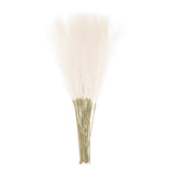 20pcs Dried Faux Pampas Grass 21" Artificial Pampas Grass Decor Champagne Pampas Grass