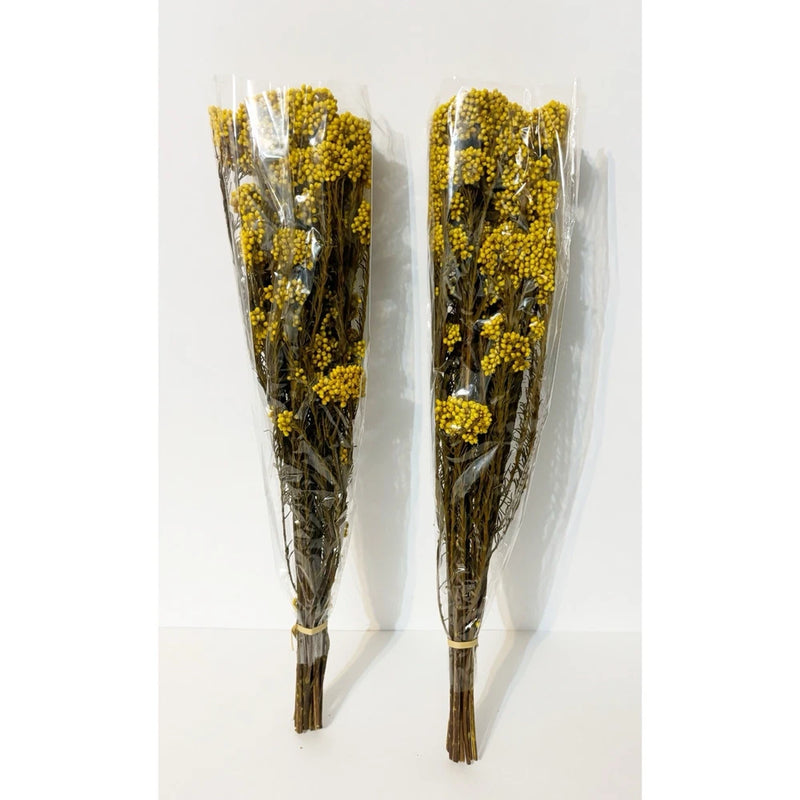 Dried baby's breath-like flower bundles, two yellow bloom bunches tied with dark stems