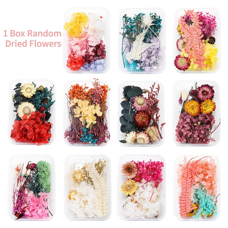 Dried Flowers Bulk DIY Specimen Plant Aromatherapy Candle Resin Making Craft Dried Flower