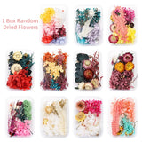 Dried Flowers Bulk DIY Specimen Plant Aromatherapy Candle Resin Making Craft Dried Flower
