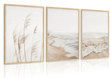 HDXUFJQ Neutral Beach Coastal Wall Art Beach Boho Botanical Pampas Grass Post... Pampas Grass