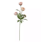 Peony Ashland 12 Stems Light Pink Peonies Michaels TikTokViral 12 Stems Peony