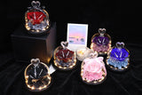 Eternal Rose flower Preserved rose everlasting rose flower gift with Led Light Roses