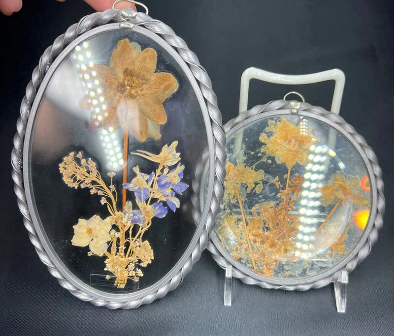 Set of 2 dried flower glass frames with pressed yellow and blue blooms in silver metal