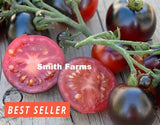 50+ Seeds Tartufo Micro Dwarf Tomato Easy to Grow Vegetable Garden Planting Garden Plants