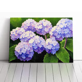 Hydrangea Flower View Vol.1 Canvas Wall Art Print Framed Picture Home Decor Hydrangea