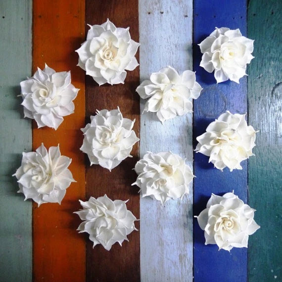 Set of 5cm white sola wood diffuser flowers, layered flower heads on board