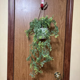 True Living Artificial Vine Hanging Plant, NWT #1 Green Plant
