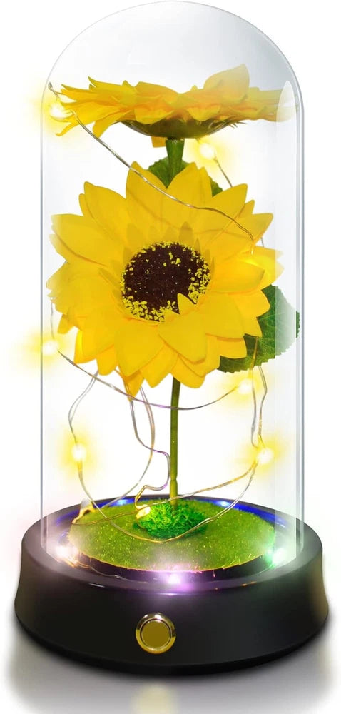 Preserved yellow sunflower bouquet under clear glass dome on black base with gold button