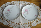 Vintage Fine China Royal Court Japan CARNATION 6 1/4