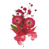 Dried Pressed Flowers Floral Pressed DIY Resin for Real Leaves Multicolor Dried Flower
