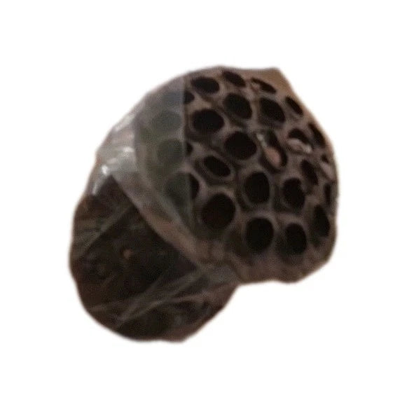 Dried Lotus Pods W/Stem  For Floral Arrangements Dried Flower