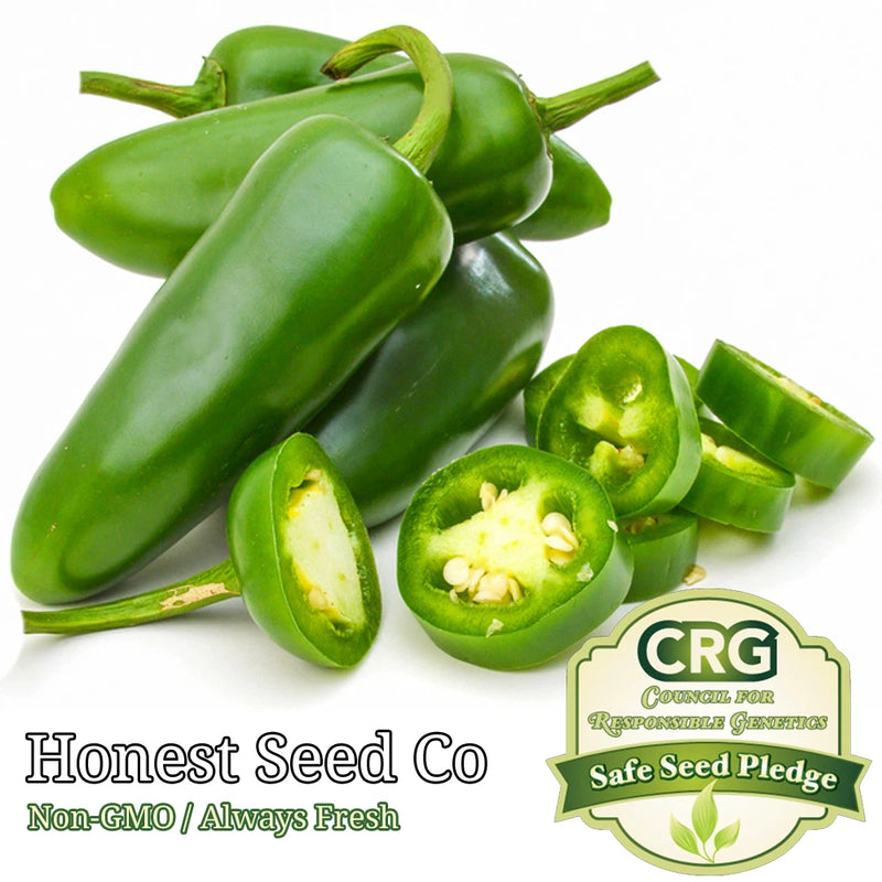 Jalape–o M Pepper Seeds 100+ Non-GMO Heirloom Hot Spicy Salsa Pickling Garden Plants