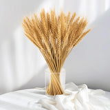 Sukh 100 Stems Dried Wheat Stalks for Decor Sheaves Grass Natural Golden Dried Flower