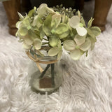 New Mini Vase Green Hydrangeas Hydrangea