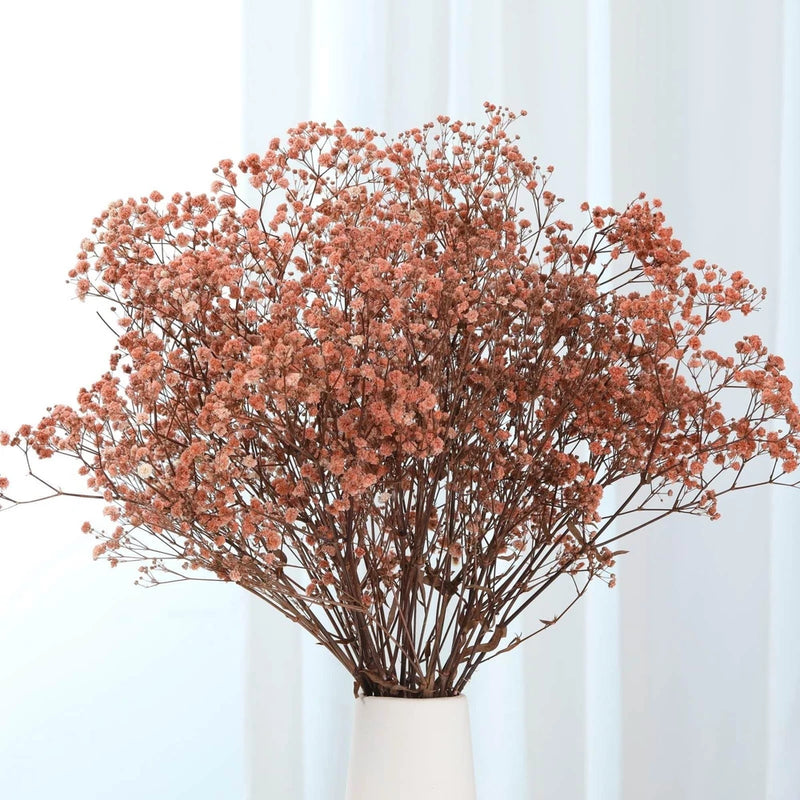 Dried gypsophila bouquet with coral-orange tiny blooms and brown stems in a vase