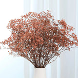 Babys Breath Dried Flowers Bouquet 17'' 2500+ Ivory Natural Gypsophila Brown Dried Flower