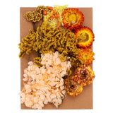 Pressed Flowers Bulk Dried Flowers Natural Pressed Flowers Leaves Orange Series Dried Flower
